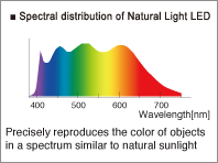 Spectral distribution of Natural Light LED
