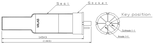 schematic diagram of hollow cathode lamp